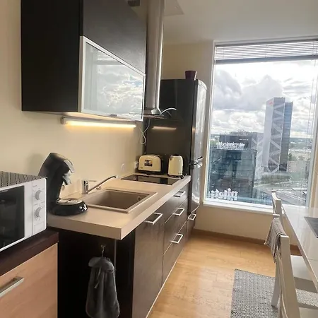 アパート Luxury Nightlights Nelli タリン